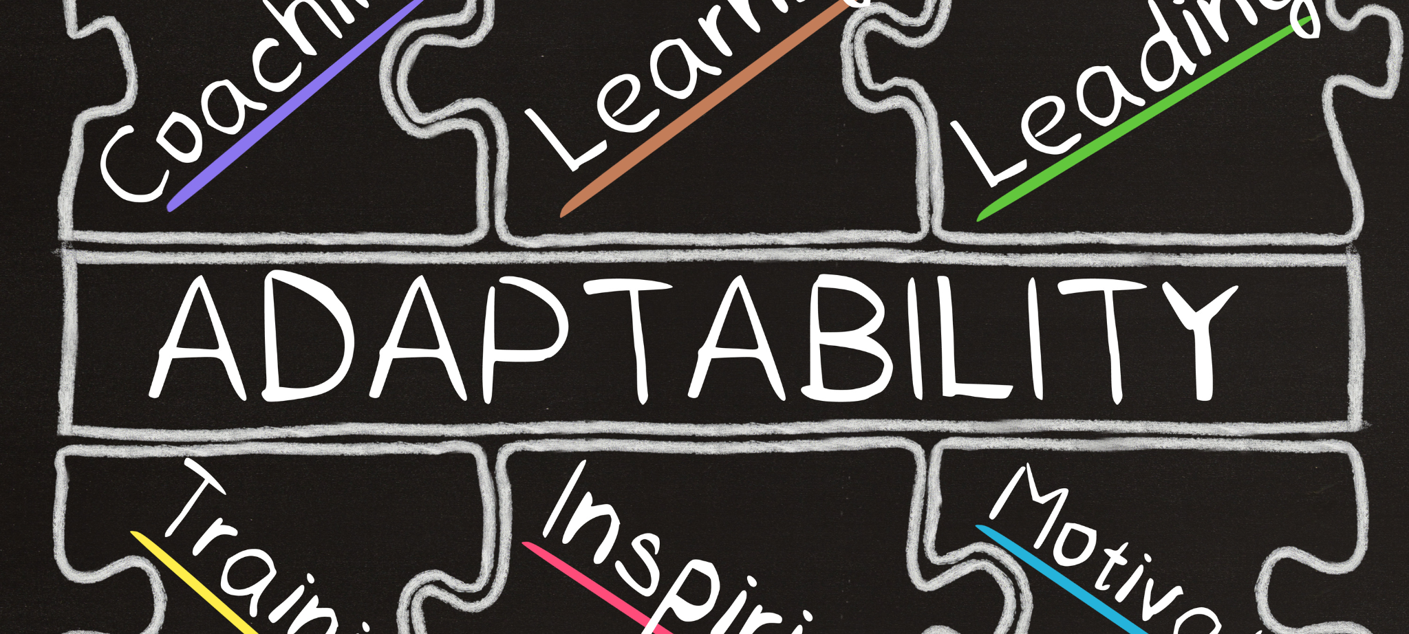 Adaptability Training - What It Is And Why It's Important 